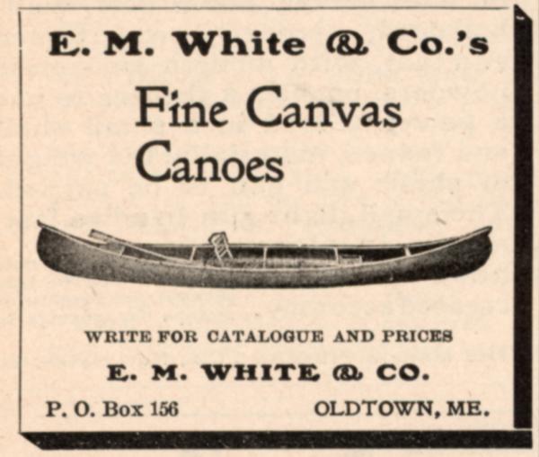 1903 White ad