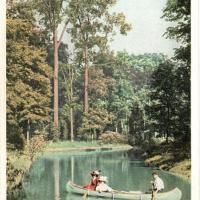 shady canal postcard