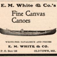 1903 White ad